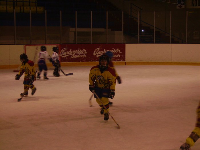 IMGP0524.jpg